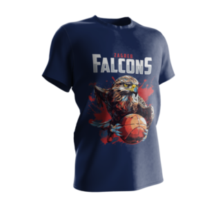 Falcons Illustrated
