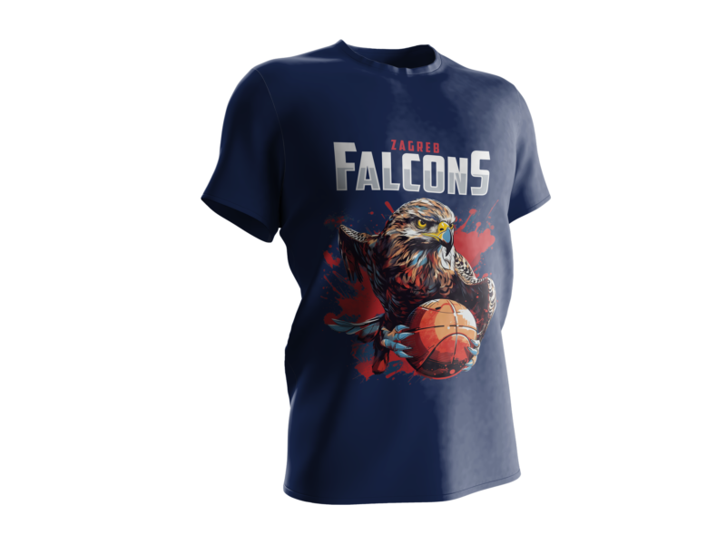 Falcons Illustrated