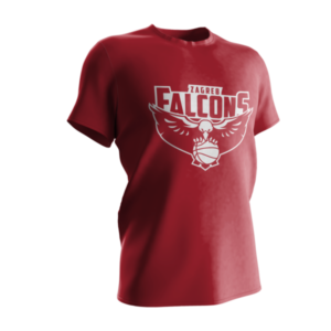 Falcons Classic R