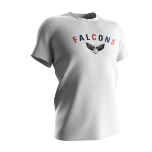 Falcons Team Colors