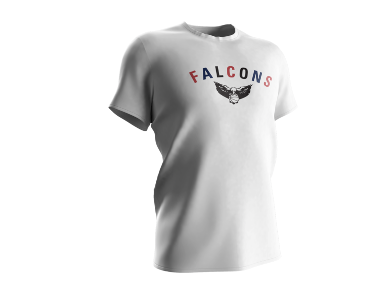Falcons Team Colors